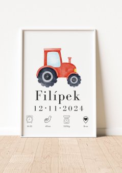 Personalizovaný plakát s údaji o narození miminka - 004